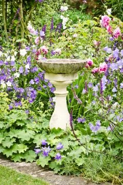 Birdbath Stock Photos