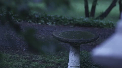 A Birdbath on a rainy day Stock Footage 57823353