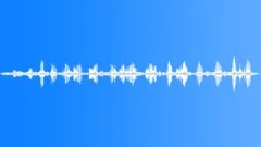 BIRD,BLACKBIRDSound Effect