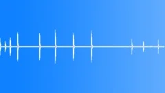 BIRD,BLACK,WOODPECKER Sound Effect