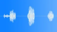 BIRD,BLACK,WOODPECKER Sound Effect