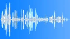 BIRD,BOX Sound Effect