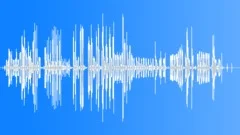BIRD,BOX Sound Effect