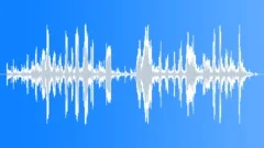 BIRD,BOX Sound Effect
