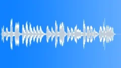 BIRD,BOXSound Effect