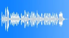 BIRD,BOX Sound Effect