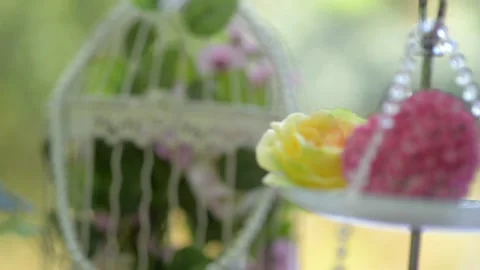 Birdcage with flowers hearts wedding entourage Stock Footage 222296853