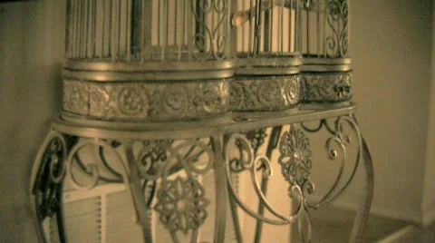 Birdcage Stock Footage 554189