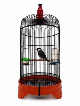 Birdcage Stock Photos