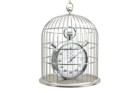 Birdcage with stopwatch inside, 3D rendering Illustrazione stock
