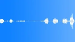 Bird,Call,Straining,Close UpSound Effect