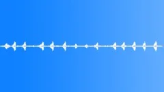BIRD,CHAFFINCHSound Effect