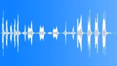 BIRD,COCKATOOSound Effect