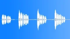 BIRD,DUCK Sound Effect