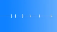 BIRD,EAGLE,OWL Sound Effect