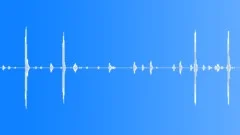 BIRD,EAGLE,OWL Sound Effect