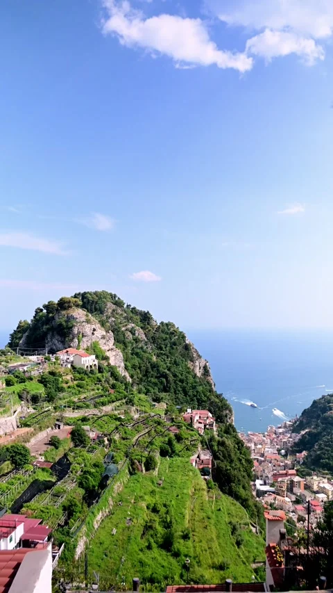 Birdeye 스톡 동영상 312191890