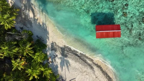 Birdeye view of a red shack and palms in Maldives 動画素材 174191724