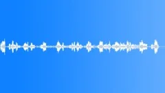 BIRD,FARM,CHICKENSSound Effect