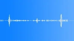 BIRD,FARM,CHICKENS Sound Effect