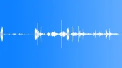 BIRD,FARM,CHICKENS Sound Effect