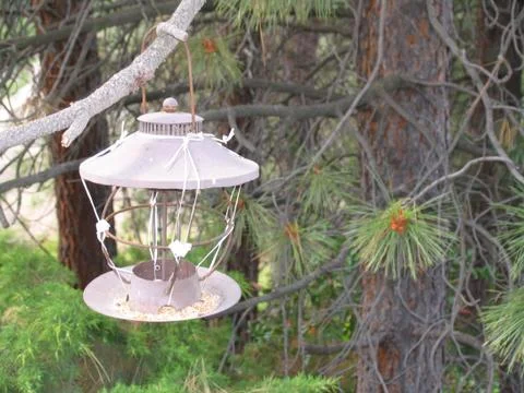 Birdfeeder Foto stock