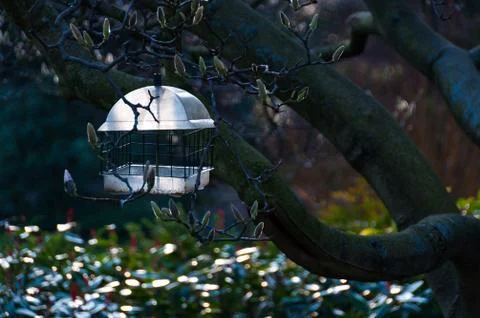 Birdfeeder in a tree Photos