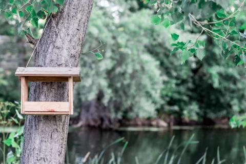 Birdfeeder on a tree Stock Photos