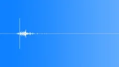 BIRD,FLYINGSound Effect