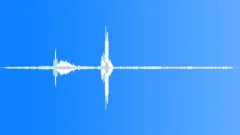 BIRD,GOLDEN,EYESound Effect