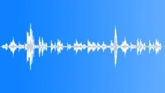 BIRD,GOOSE Sound Effect