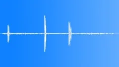 BIRD,GOOSE Sound Effect