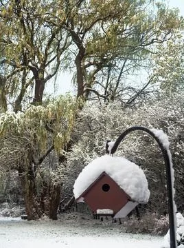 Birdhous ewith snow Stock Photos