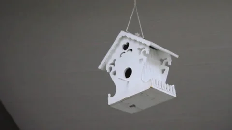 Birdhouse 4882 Stock Footage 1103814