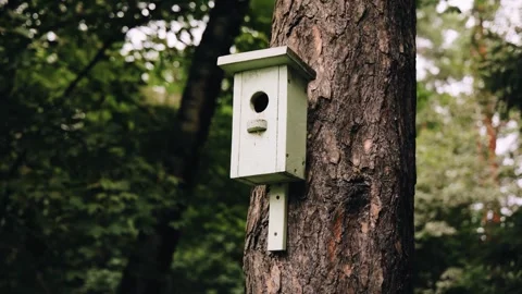 A birdhouse for birds is hanging on a tree trunk. Close-up shooting in motion Stock Footage 330140410