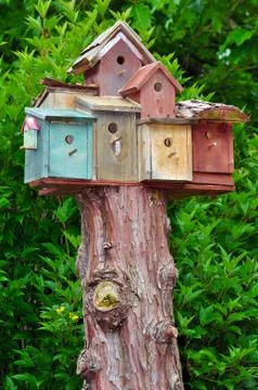 Birdhouse condos Foto stock