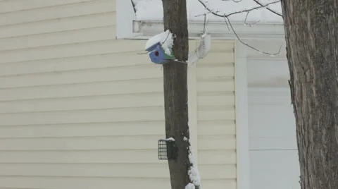 Birdhouse covered in snow 스톡 동영상 34586140