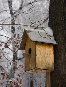Birdhouse empty in a cold winter forest Stock Photos