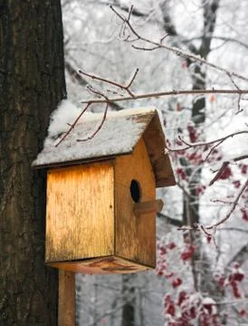 Birdhouse empty in a cold winter forest Stock Photos