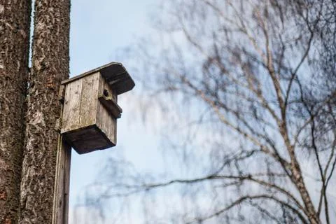 Birdhouse. Feeder on a tree. Stock Photos