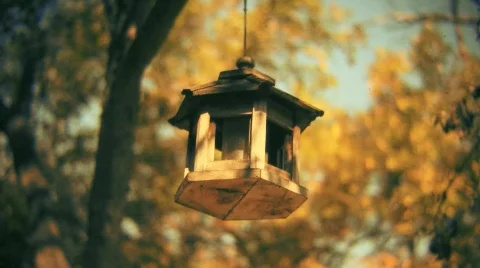 Birdhouse Stock Footage 550041