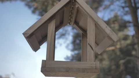 Birdhouse Video stock 120477729