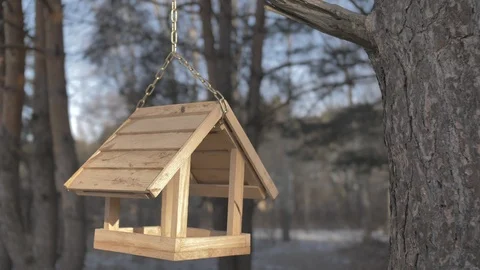 Birdhouse Video stock 120478371