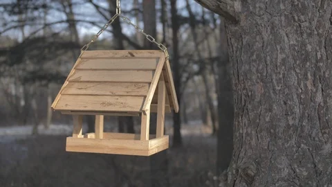 Birdhouse Video stock 120478407