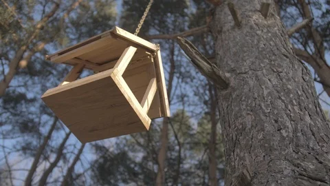 Birdhouse Video stock 120478464