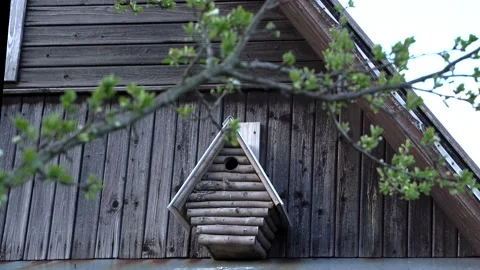 Birdhouse Stock Footage 145312690