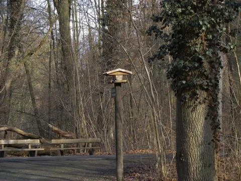 Birdhouse in the forest Stock Photos