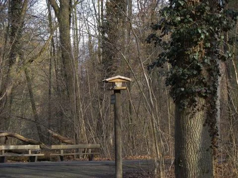 Birdhouse in the forest Stock Photos