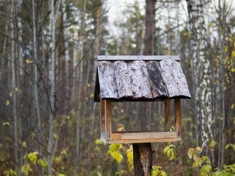A birdhouse in the forest. Fotos Stock