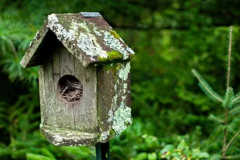 A birdhouse in a forest Stock Photos